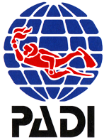 Try dives to PADI Professional courses